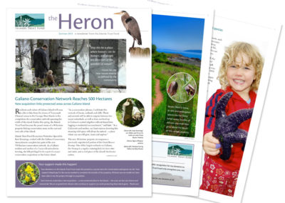 ITF Heron newsletter